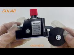 CR137-BZ-T2 IP67 定格、2×SPDT スナップアクション接点、スチール ローラー L を備えた頑丈なリミット スイッチ